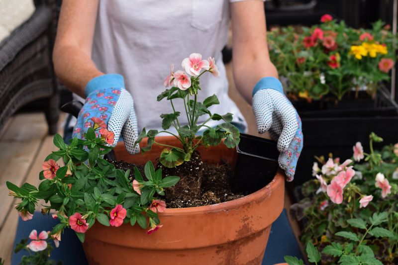 Bush Planting Service in Ventura County, CA