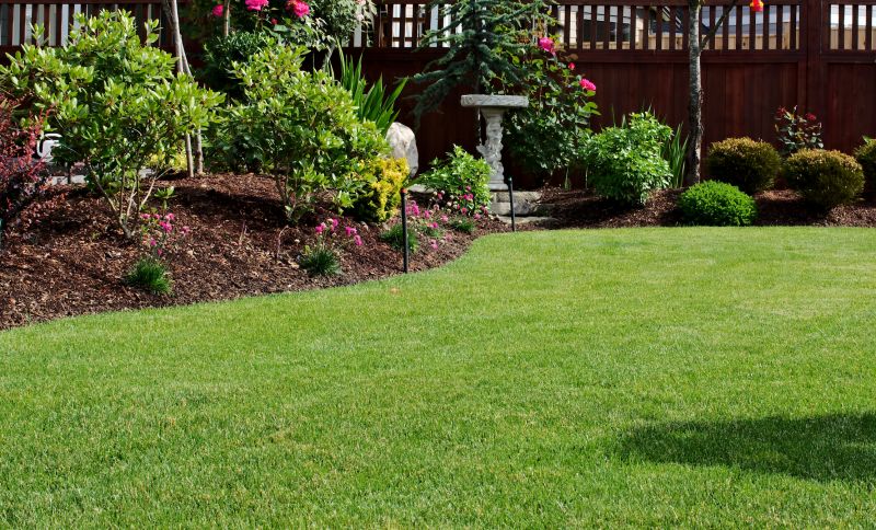 Damaged Yard Repair in Honolulu, HI