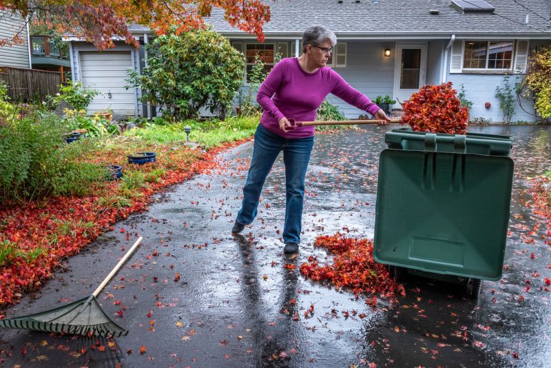 Cleaning Up Fall Debris