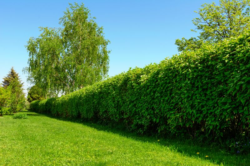Hedge Installation in Honolulu, HI