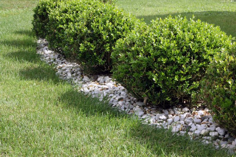 Hedge Landscaping in Ventura County, CA