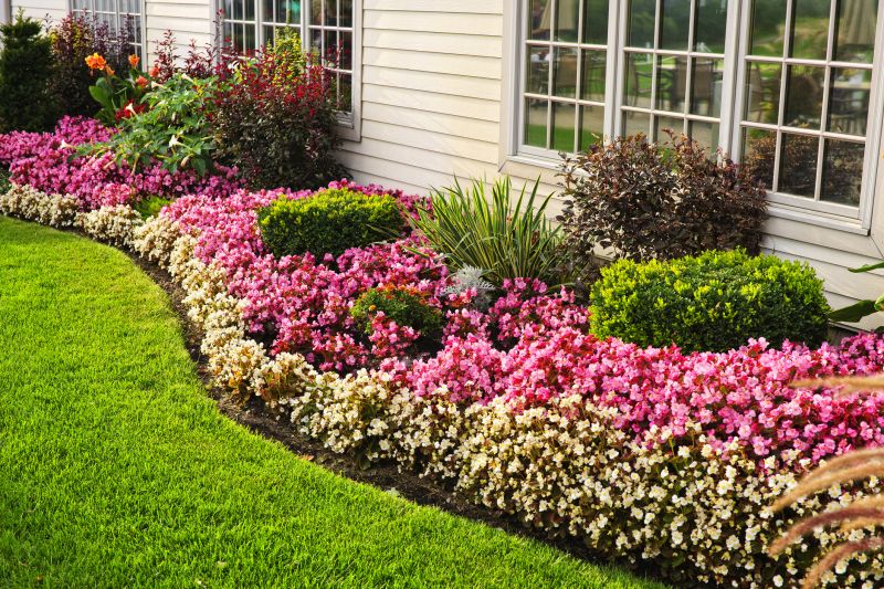 Privacy Shrub Installation in Honolulu, HI
