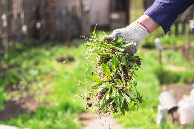 Spring Garden Maintenance in Honolulu, HI
