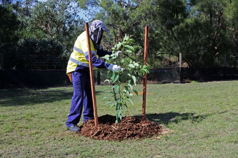 Tree Landscaping in Ventura County, CA