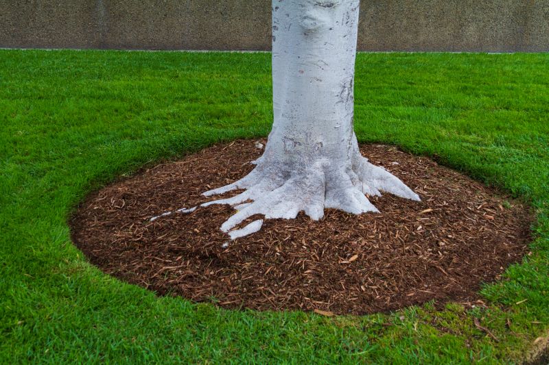 Weeding And Mulching in Ventura County, CA