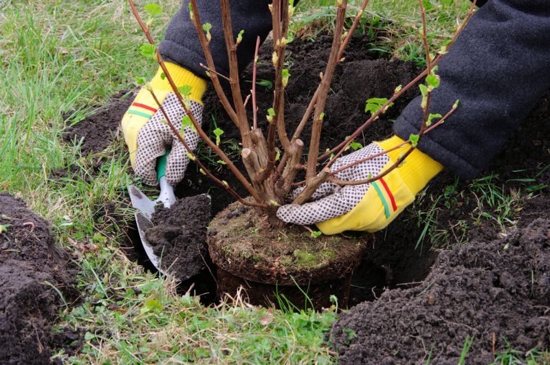 Honolulu, HI